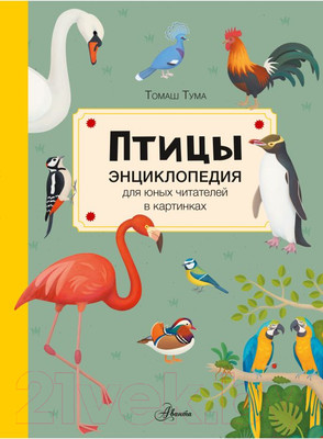 Энциклопедия АСТ Птицы (Тума Т.)