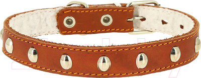 Ошейник КАСКАД Для щенков / 00025021