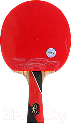 Ракетка для настольного тенниса Double Fish 8A-C (с чехлом)