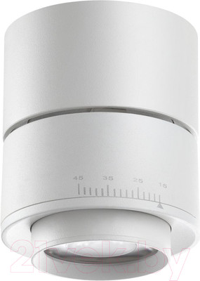 Спот Novotech Eddy 358947