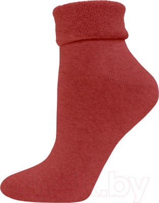 Носки Брестские Arctic 1437 рис. 000 (р.25, кирпичный)