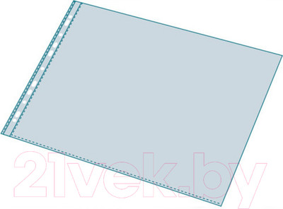 Набор файлов Exacompta 6210E (10шт)