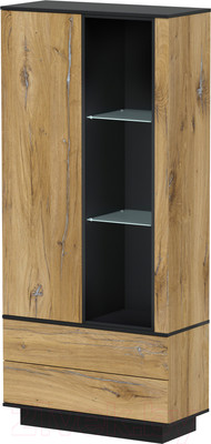 Шкаф Интерлиния Quartz QZ-ШК1 (дуб нокс/черный)