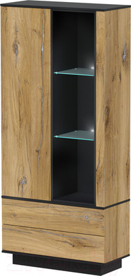 Шкаф Интерлиния Quartz QZ-ШК1 с подсветкой (дуб нокс/черный)