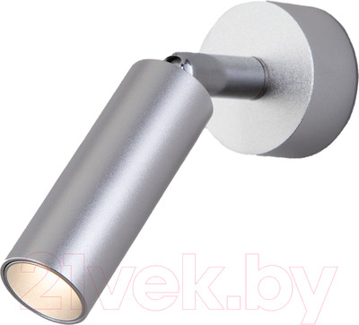 Бра Евросвет 20133/1 LED (серебристый)