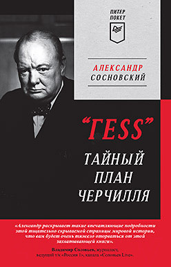 Художественная книга Питер ГESS. Тайный план Черчилля (Сосновский А.)
