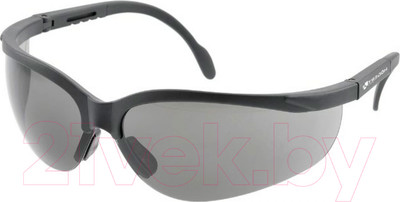 Защитные очки Hoegert HT5K007