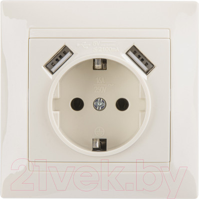 Розетка TDM Лама SQ1815-0142 (слоновая кость)