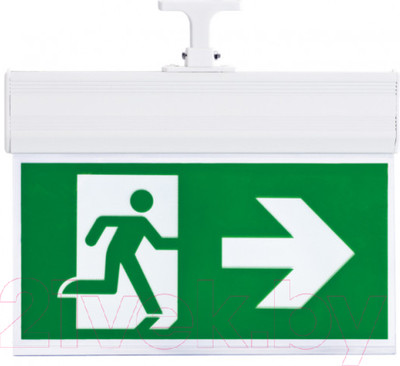 Светильник аварийный ЭРА DPA-103-1-20 / Б0044392