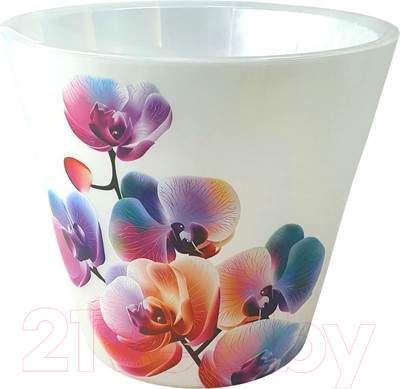 Кашпо Idi Land 221608029/02 (белый перламутр)