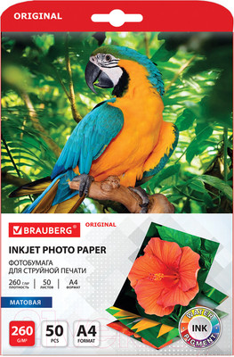 Фотобумага Brauberg Original А4 260 г/м2 / 363993 (50л, матовая)