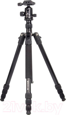 Штатив RayLab Pro 70 (с головой)