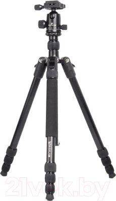 Штатив RayLab Pro 75 (с головой)