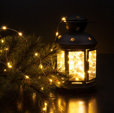 Светодиодная гирлянда Евросвет 400-009 (теплый белый)