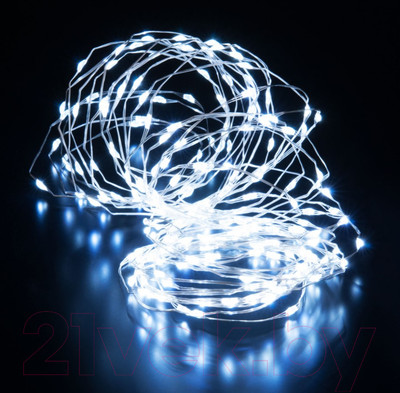 Светодиодная гирлянда Евросвет 400-009 (белый)