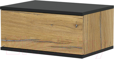 Прикроватная тумба Интерлиния Quartz QZ-ТП (дуб нокс/черный)