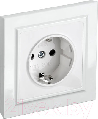 Розетка IEK Brite BR-R14-16-K01-F (белый)
