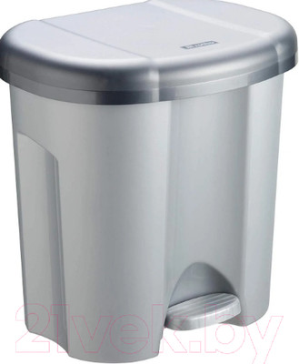 Система сортировки мусора Rotho Duo / 1760108080 (2x10л, серый)