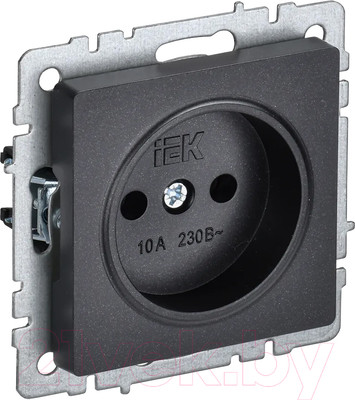 Розетка IEK Brite BR-R10-10-K02 (черный)