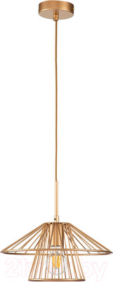 Потолочный светильник Indigo Light Strato V000285