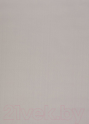 Рулонная штора LEGRAND Лайт 38x175 / 58095207 (светло-серый)