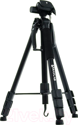 Штатив RayLab Travel 67 / RLCTAL67 (с головой)