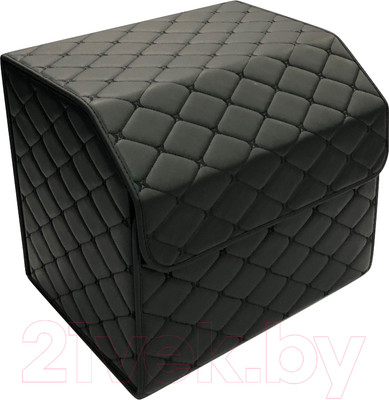 Органайзер автомобильный Alicosta 0009_AC_Е (р.40, экокожа/черный)