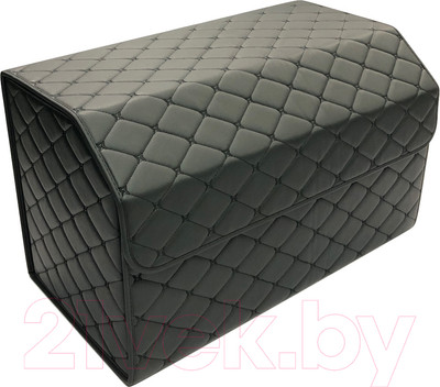 Органайзер автомобильный Alicosta 0011_AC_E (р.60, экокожа/черный)