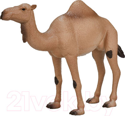 Фигурка коллекционная Konik Одногорбый верблюд / AMW2056