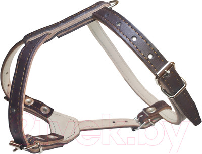 Шлея Сима b12BR (коричневый)