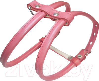 Шлея Сима Шпиц / bs0710RE (красный)