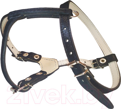 Шлея Сима b12BL (черный)