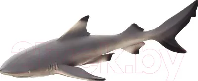 Фигурка игровая Konik Черноперая рифовая акула / AMS3026