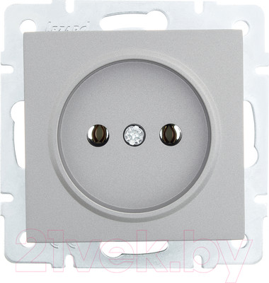 Розетка Lezard Vesna 742-3588-121B