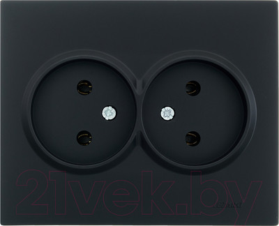 Розетка Lezard Vesna 742-4200-128B