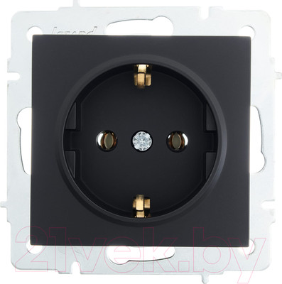 Розетка Lezard Vesna 742-4288-122B