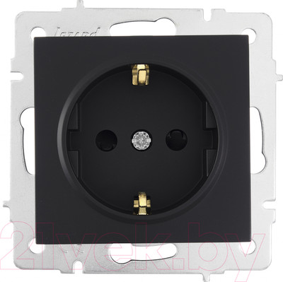 Розетка Lezard Vesna 742-4288-124B