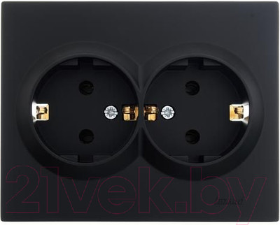 Розетка Lezard Vesna 742-4200-127B