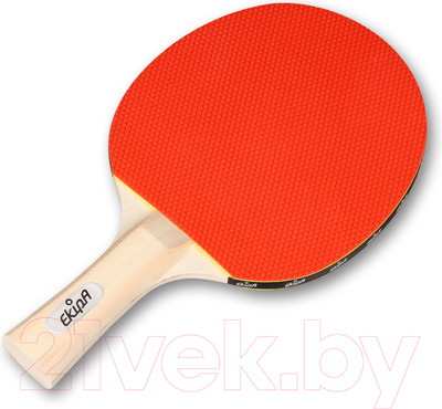 Ракетка для настольного тенниса Ekipa EK00