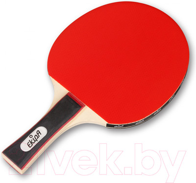 Ракетка для настольного тенниса Ekipa EK01