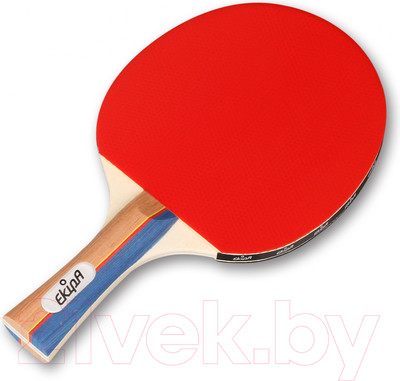 Ракетка для настольного тенниса Ekipa EK03