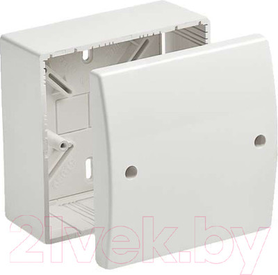 Коробка распределительная Ruvinil 100x100x55 / 65019