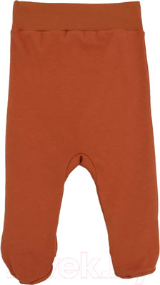 Ползунки Rant Hugs And Kisses / HK_PCB31-74 (Pattern Brown, р.74)