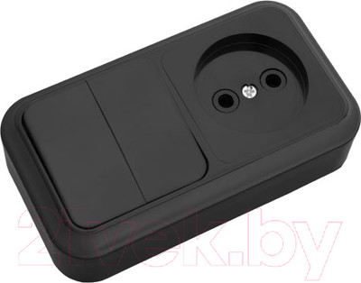 Блок выключатель+розетка Bylectrica 2В-РЦ-523 / 523ч (черный)