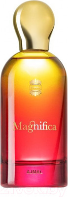 Парфюмерная вода Ajmal Magnifica (100мл)