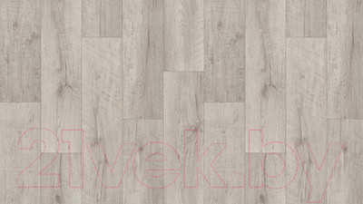 Линолеум Tarkett Club Arma 1 (3x5м)