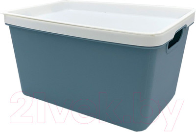 Контейнер для хранения DomiNado RT658-1