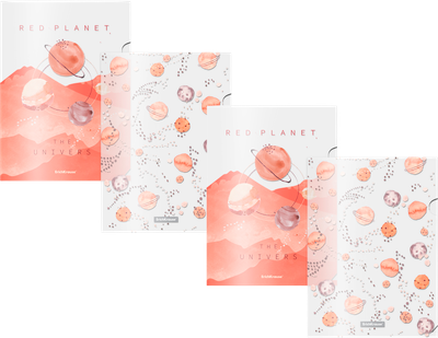 Набор папок Erich Krause Martian Girl / 55103 (4шт, ассорти)