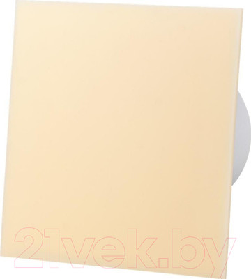 Вентилятор накладной AirRoxy dRim 100PS-C165