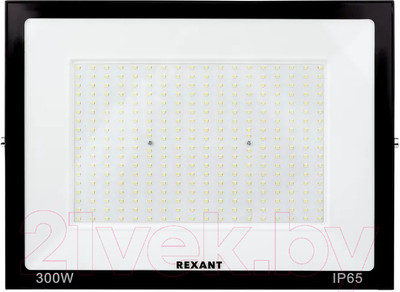 Прожектор Rexant LED 6500 K / 605-030
